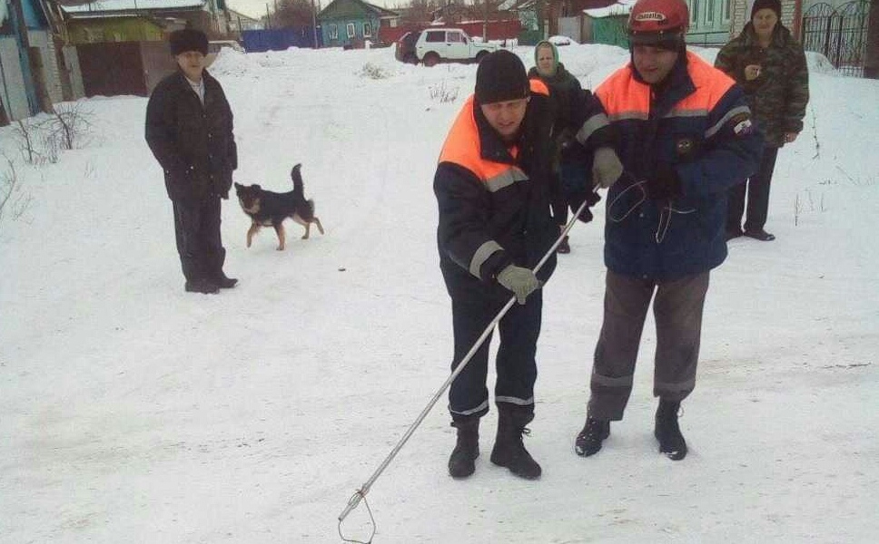 Спасатели помогли собаке, которая повисла на заборе